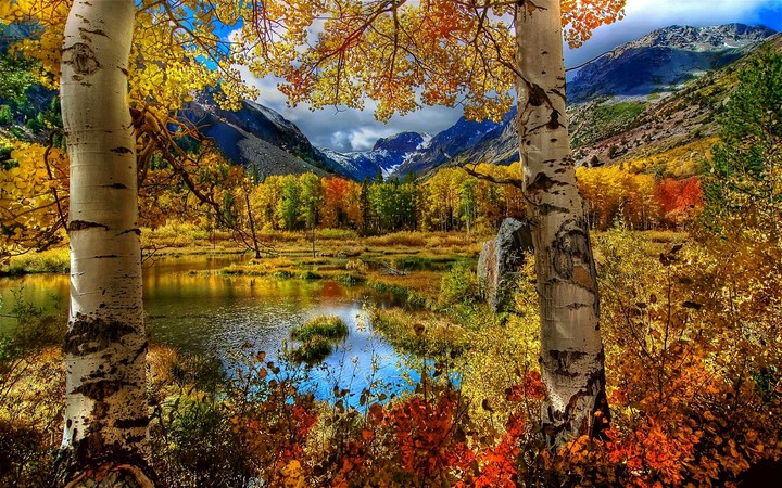 Осенний пейзаж