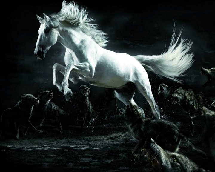 el unicornio