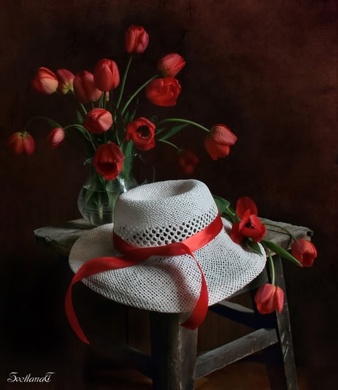 Summer Hat