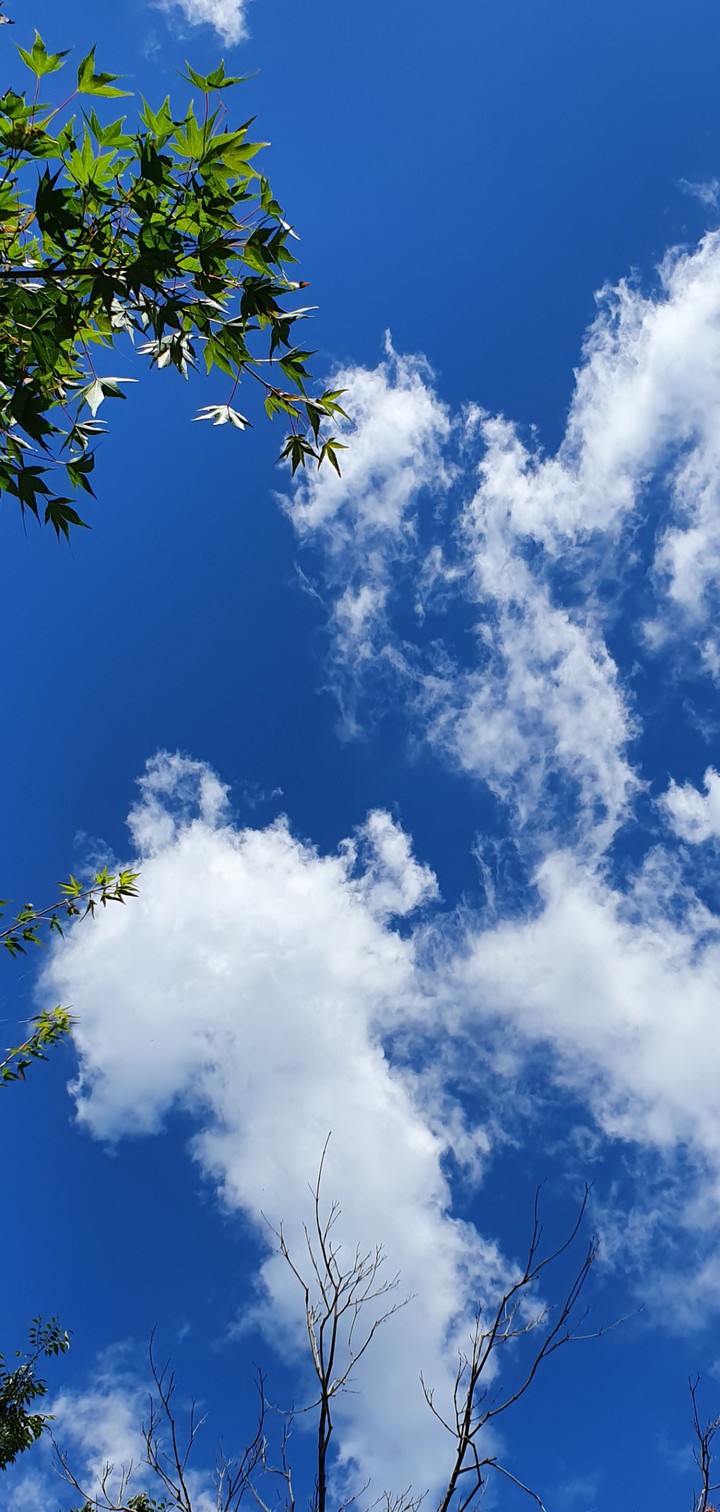 Autumn sky of Suwon