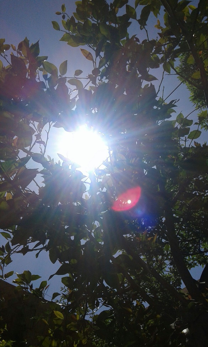 Sun