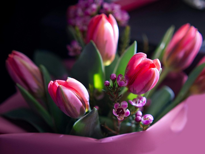 pink flowers