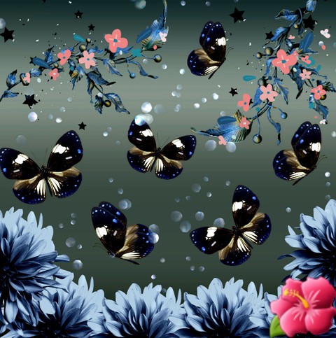 insect, pollinator wallpapers