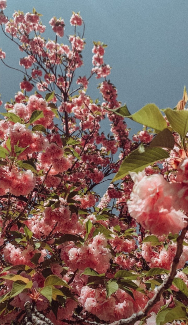 Spring feelings