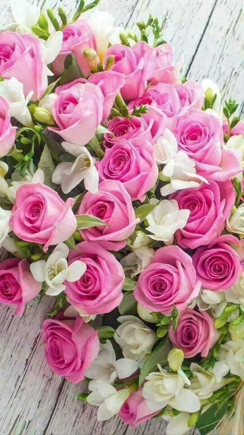 roses