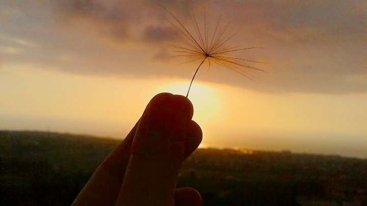 Far far away 