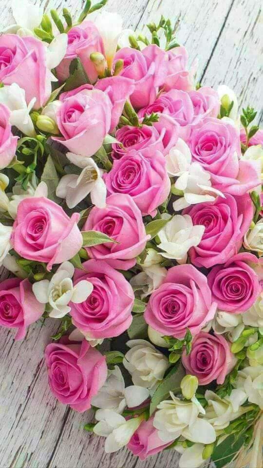 roses