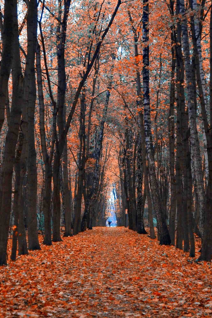 Alley.
