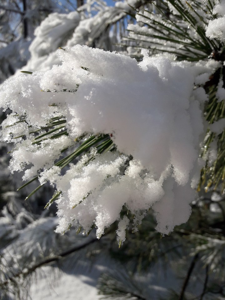 ❄