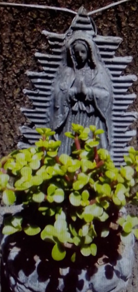 Ave María