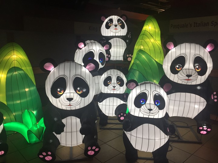 pandas