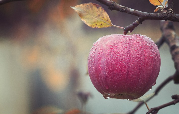 i love apples
