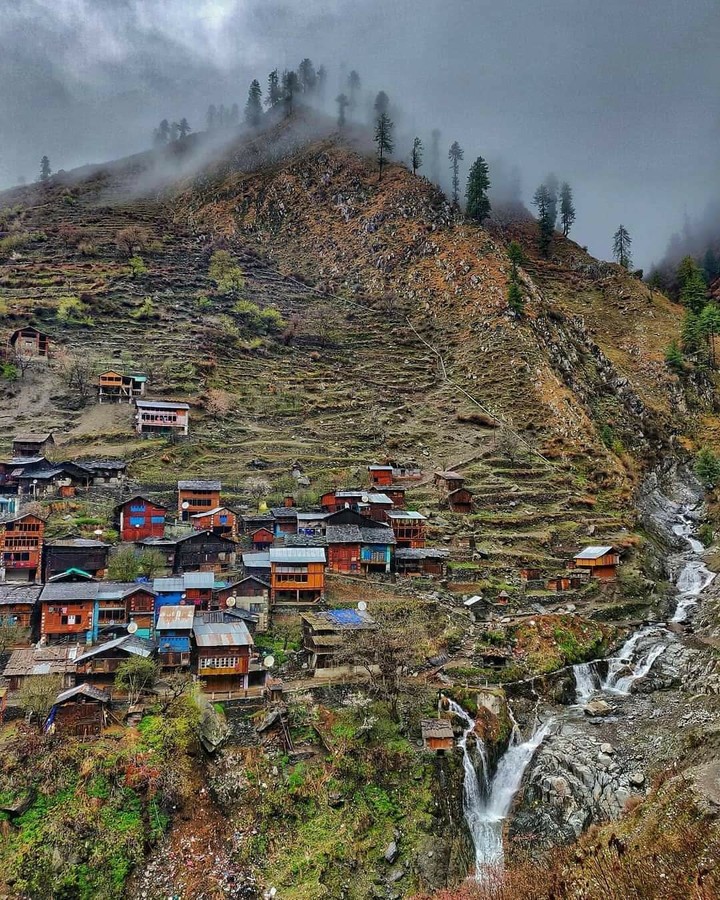 shimla