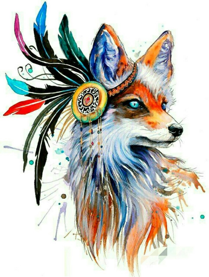 fox