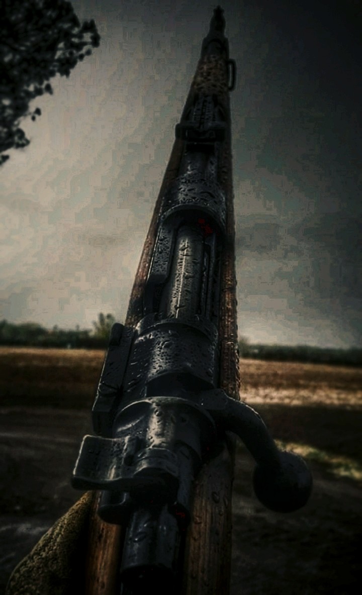 gun