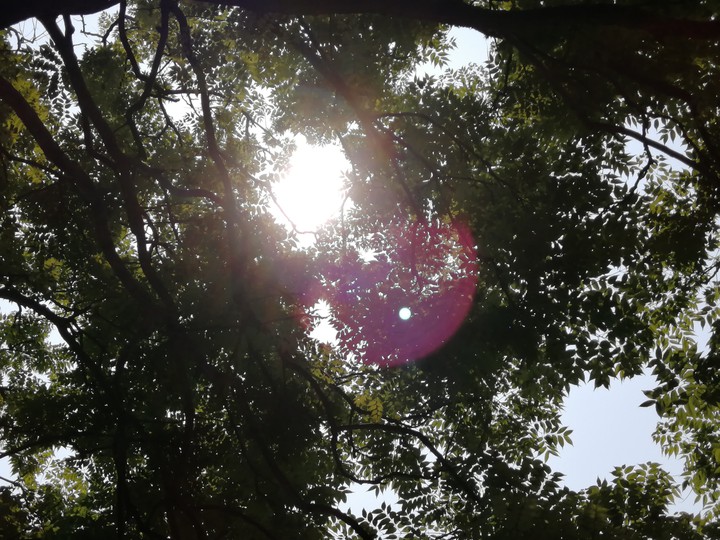 sunshine