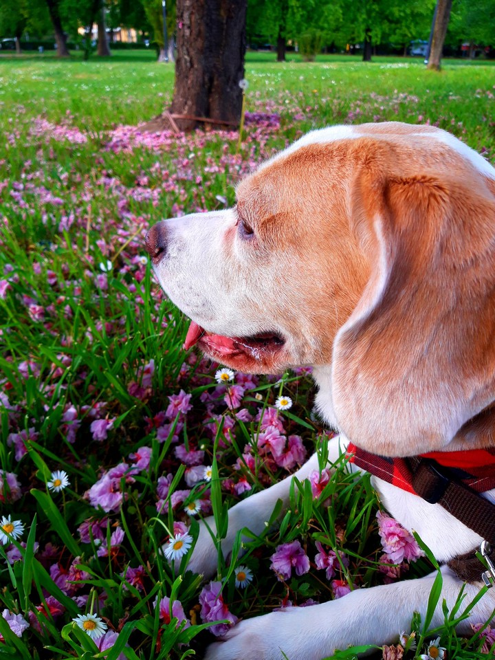 Walking into the spring