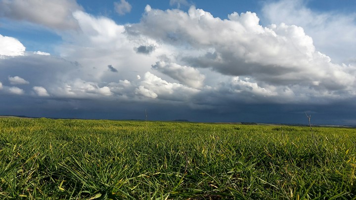 nubes