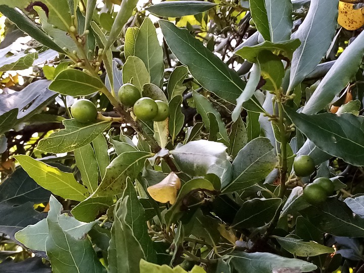 Beauté de la nature...