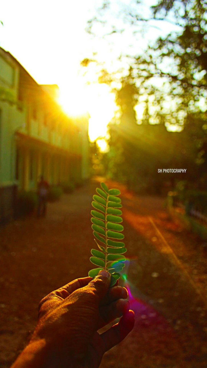 golden hours