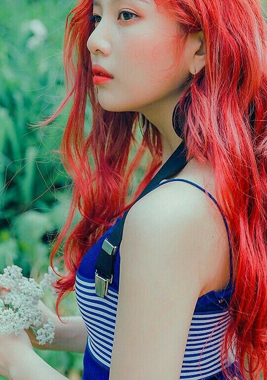Red Velvet*