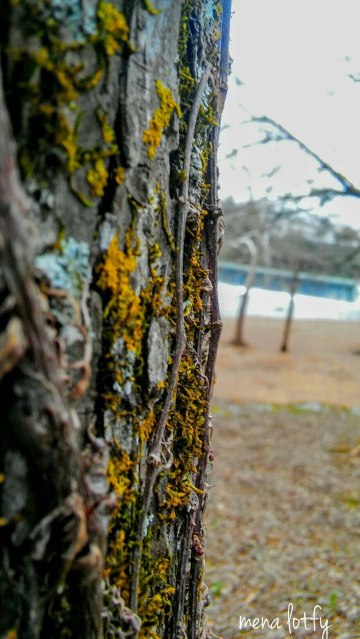nature