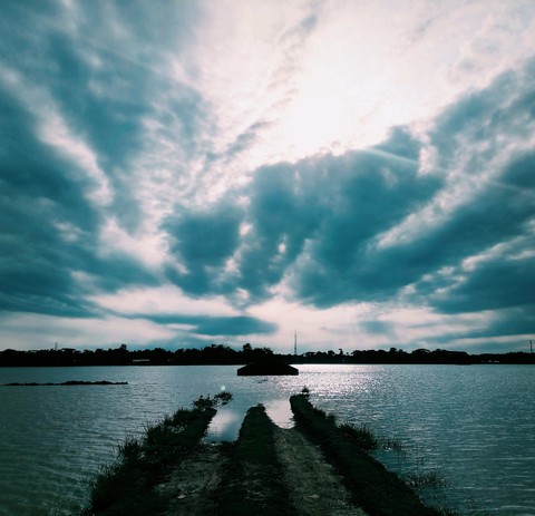 Path leads to water..