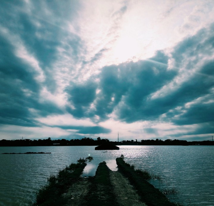 Path leads to water..