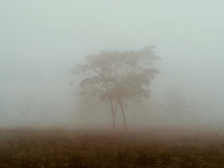 Fog