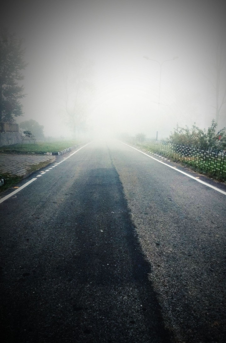 Fog