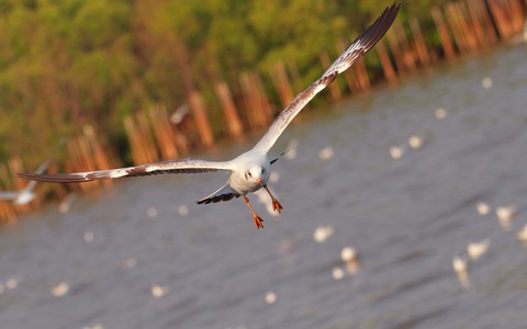 beautiful photography...
