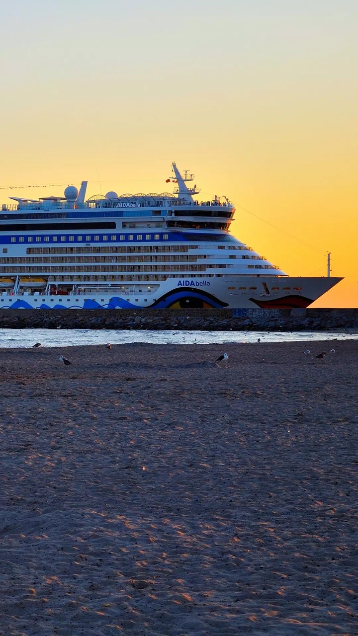 cruises