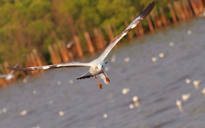 beautiful photography...