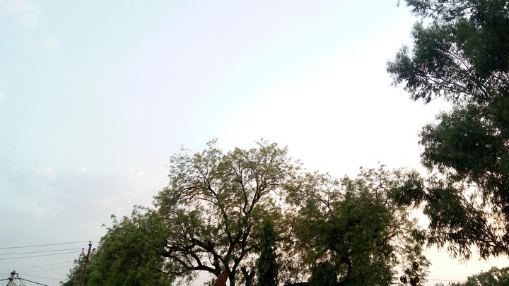 Sky