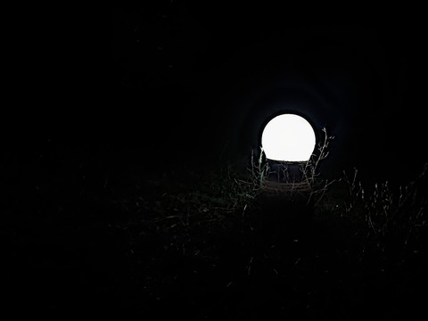 a lamp