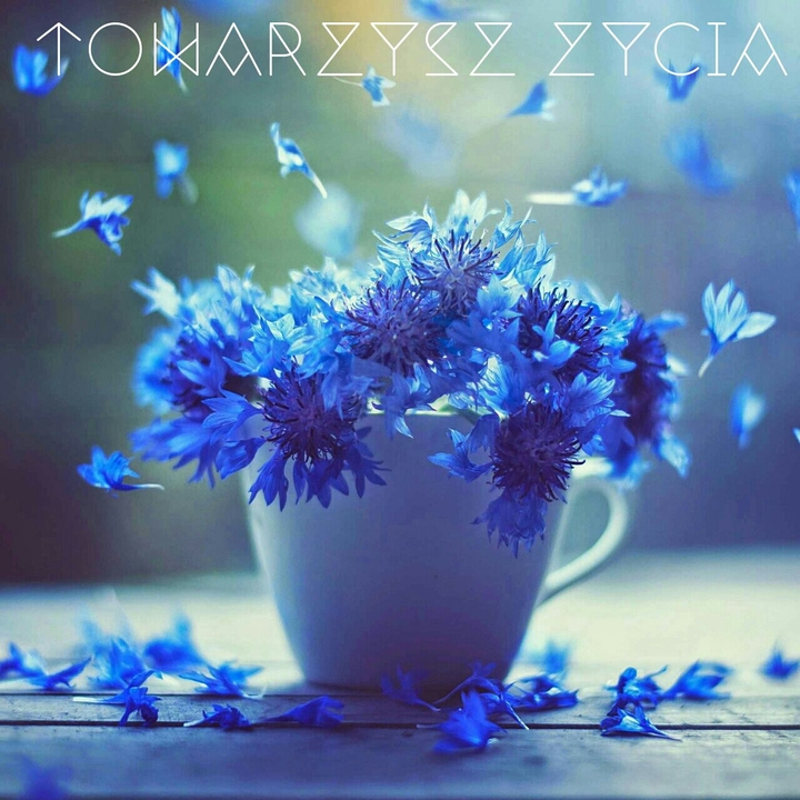 Towarzysz życia