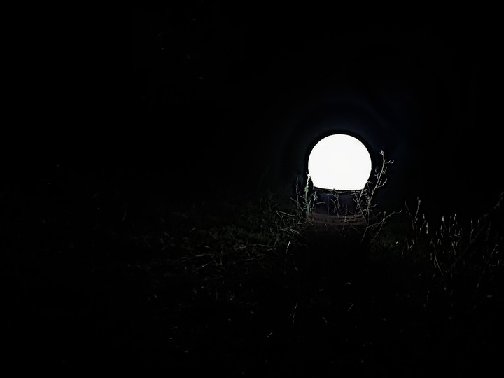 a lamp