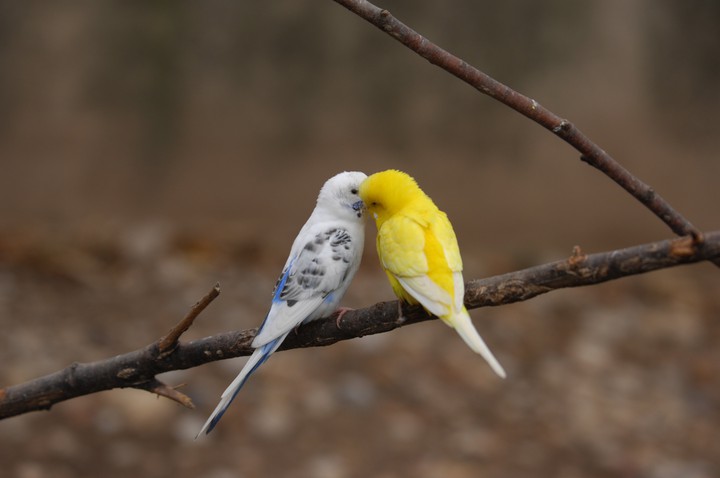 lovely picture...
