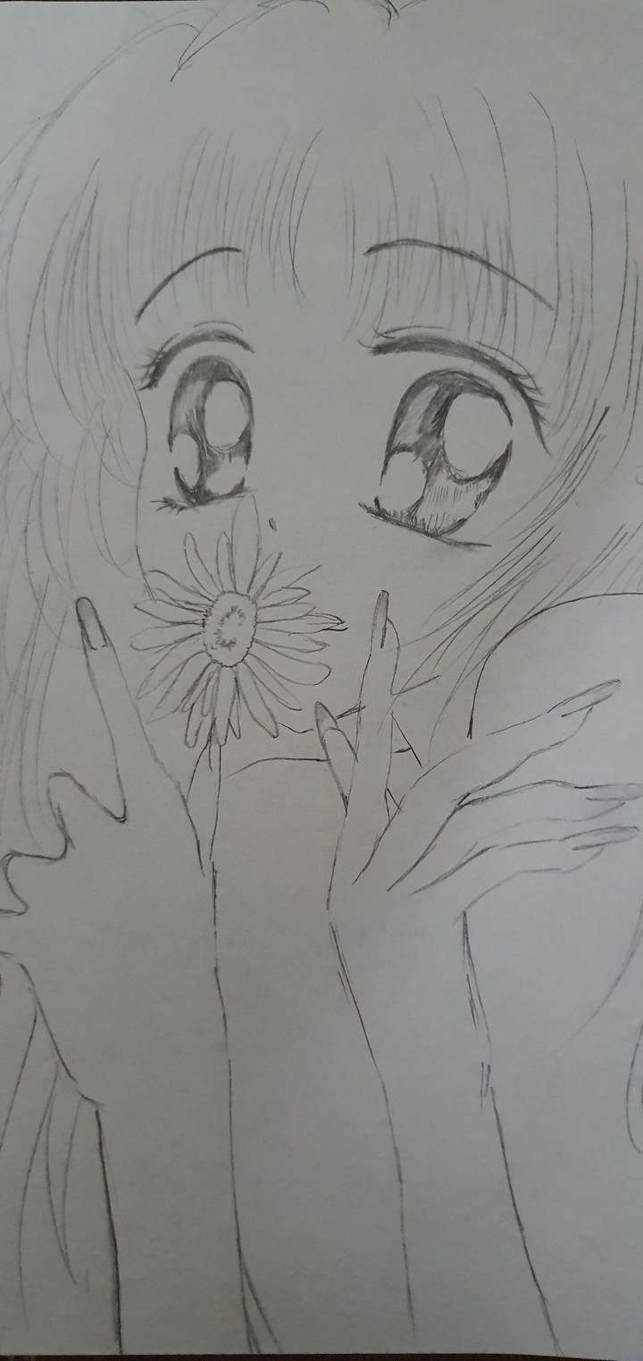 내가 그린 그림