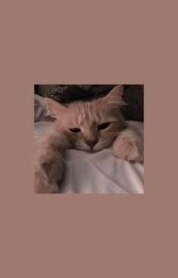 RN