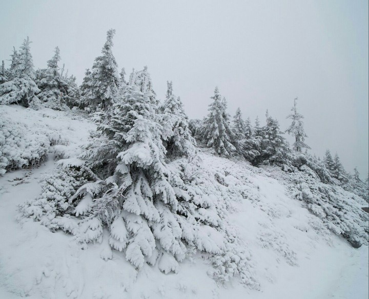 love winter