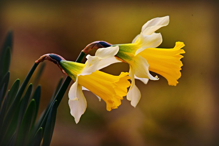Lovely ?