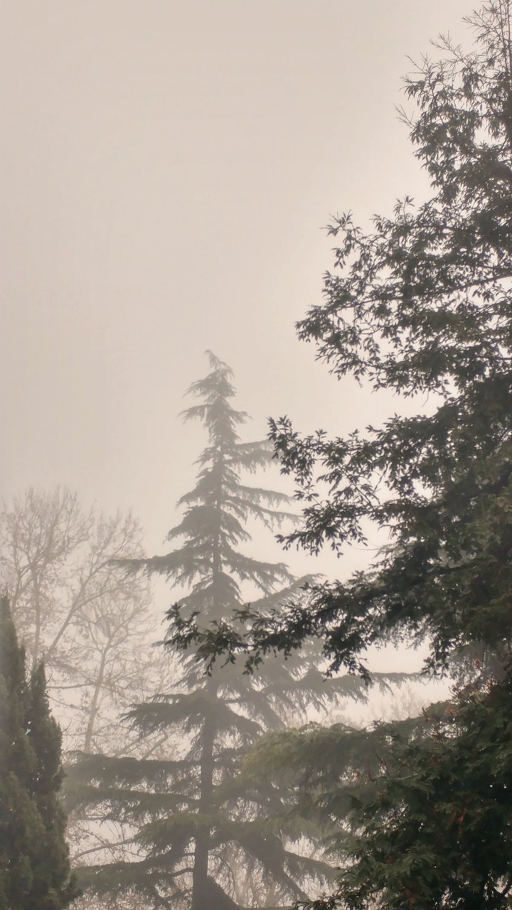 foggy weather