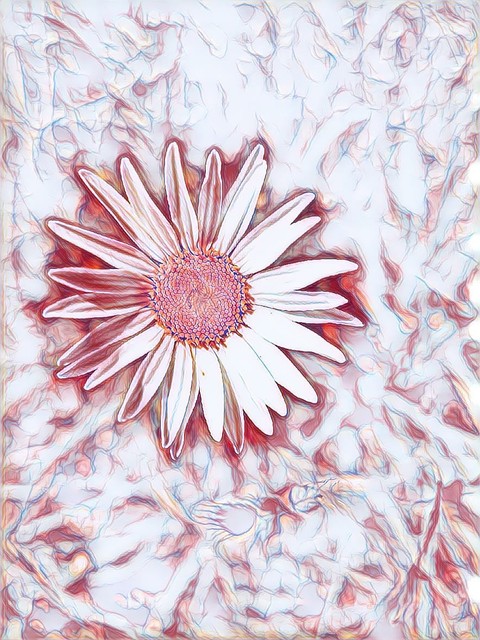 wild flower dark pink