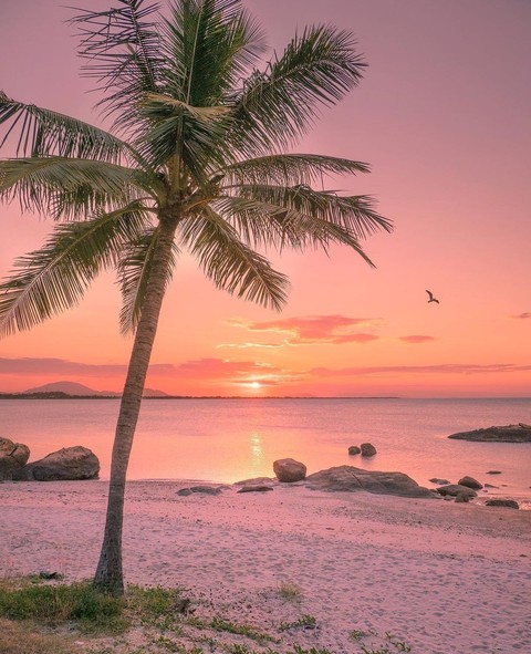 pink sunset...