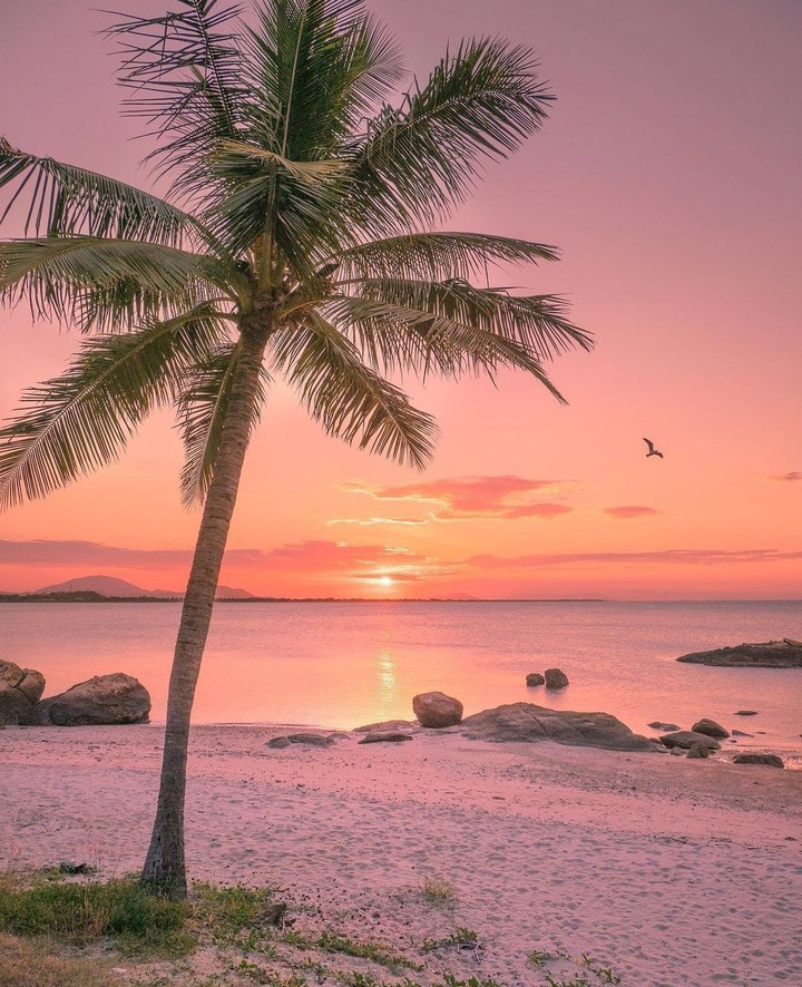 pink sunset...