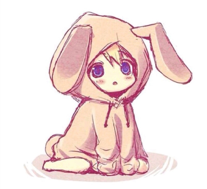 rabit