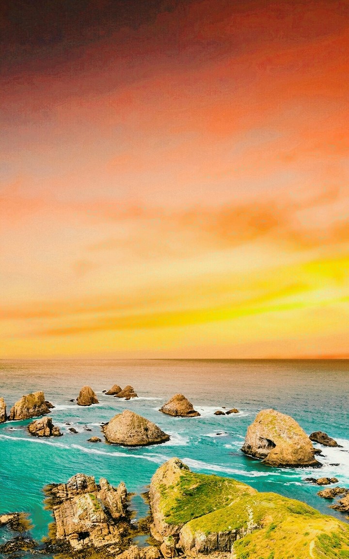 beach life