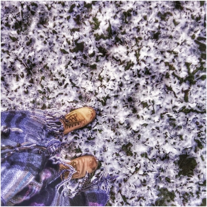 winter mood