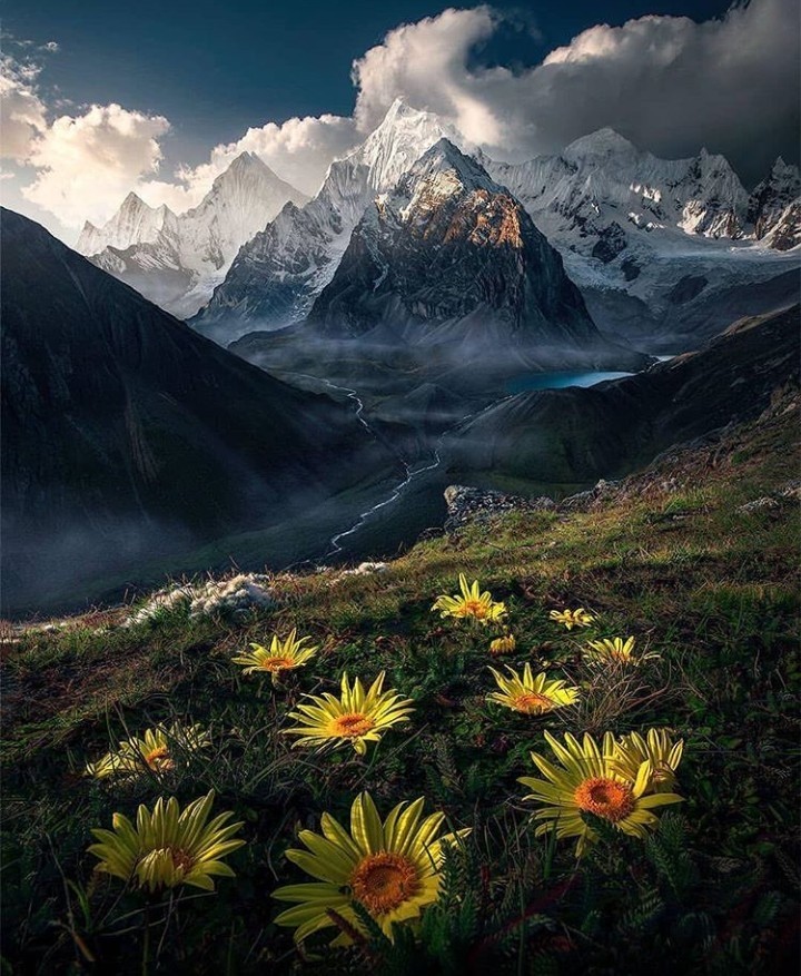 A prosperous landscape